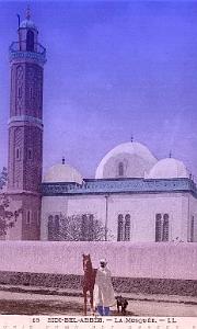 SIDI BEL ABBES LA MOSQUEE